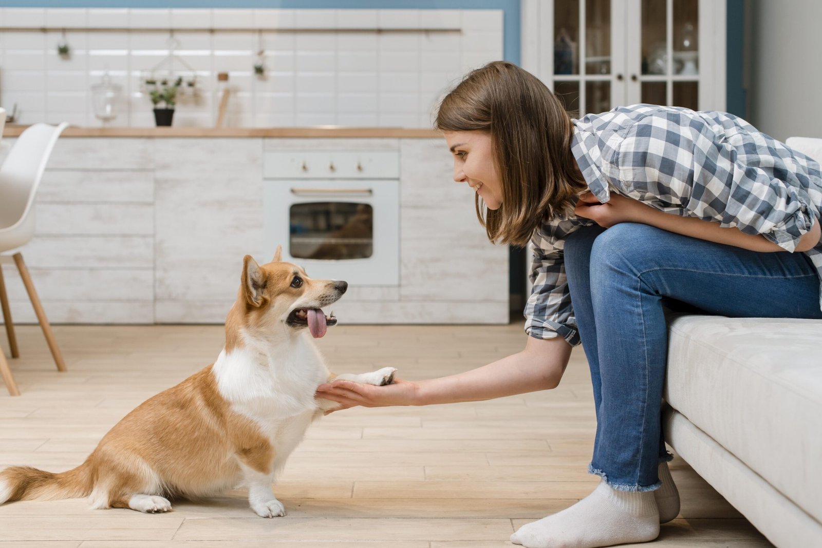 Puppy Classes in Auckland